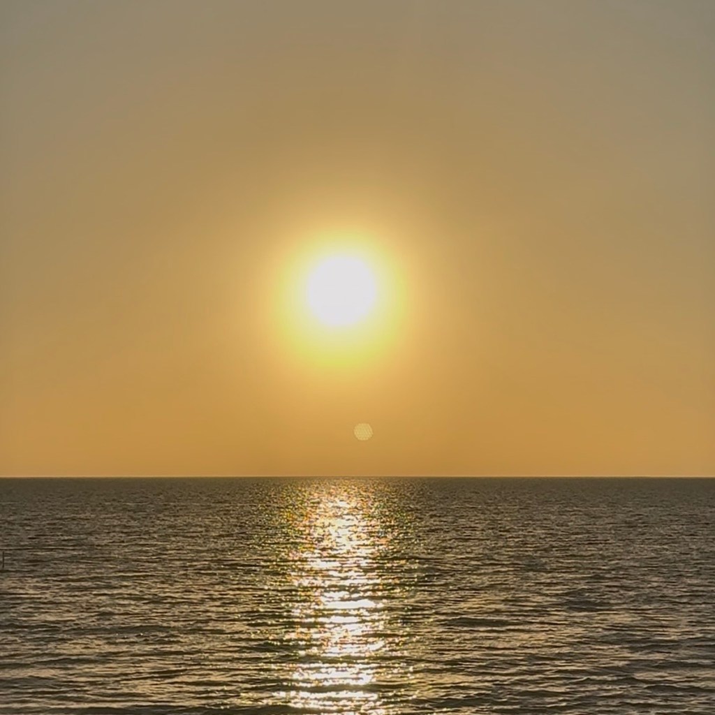 There Is Still Beauty In This&nbsp;World